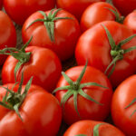 pomodori